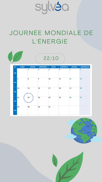 Journée mondiale de l'énergie : Sylvéa et son engagement pour l’environnement