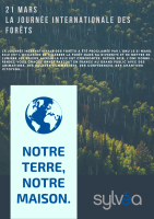21 mars : Ensemble, célébrons et protégeons nos forêts